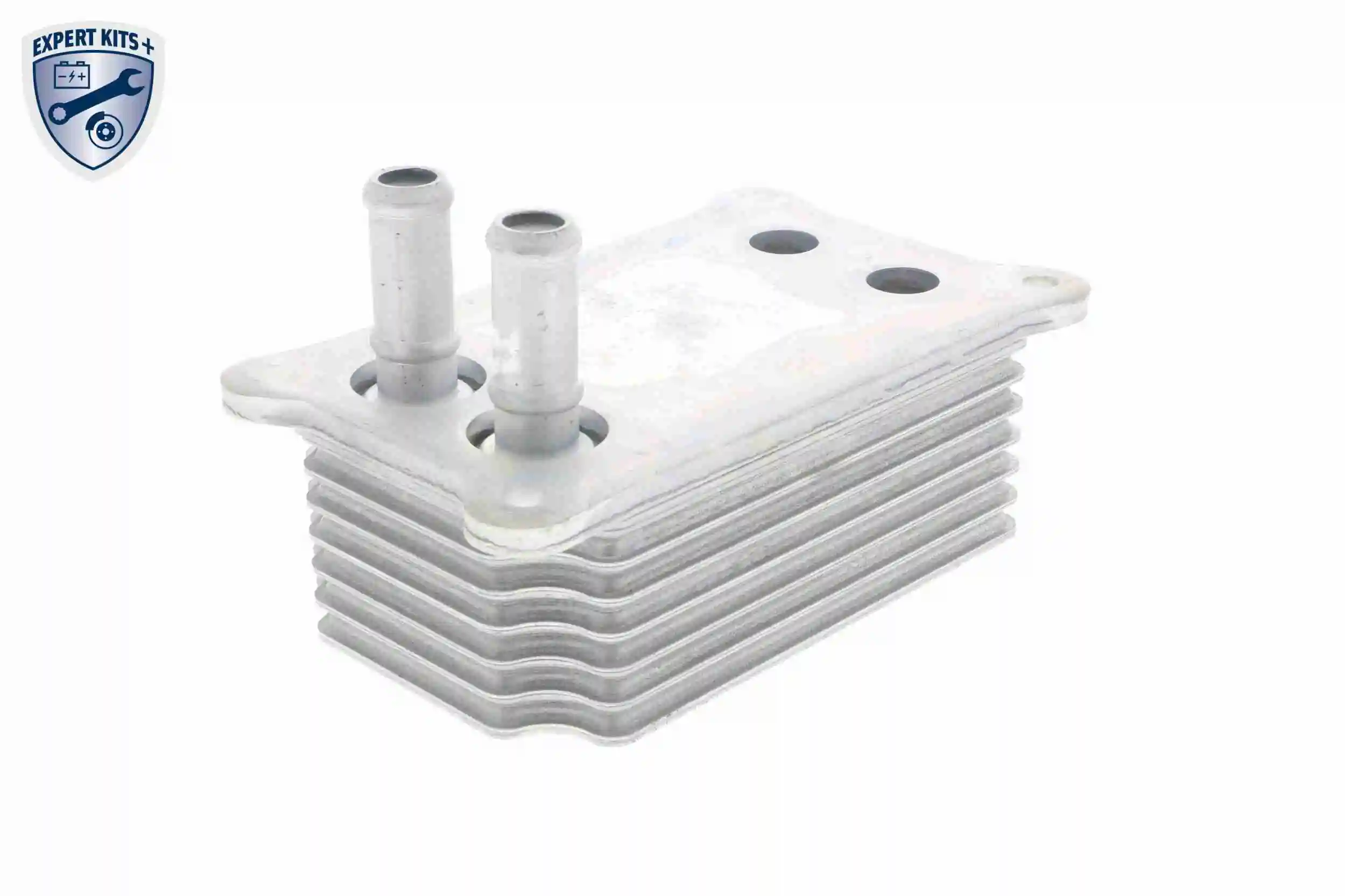 Radiateur d'huile VEMO V25-60-0031