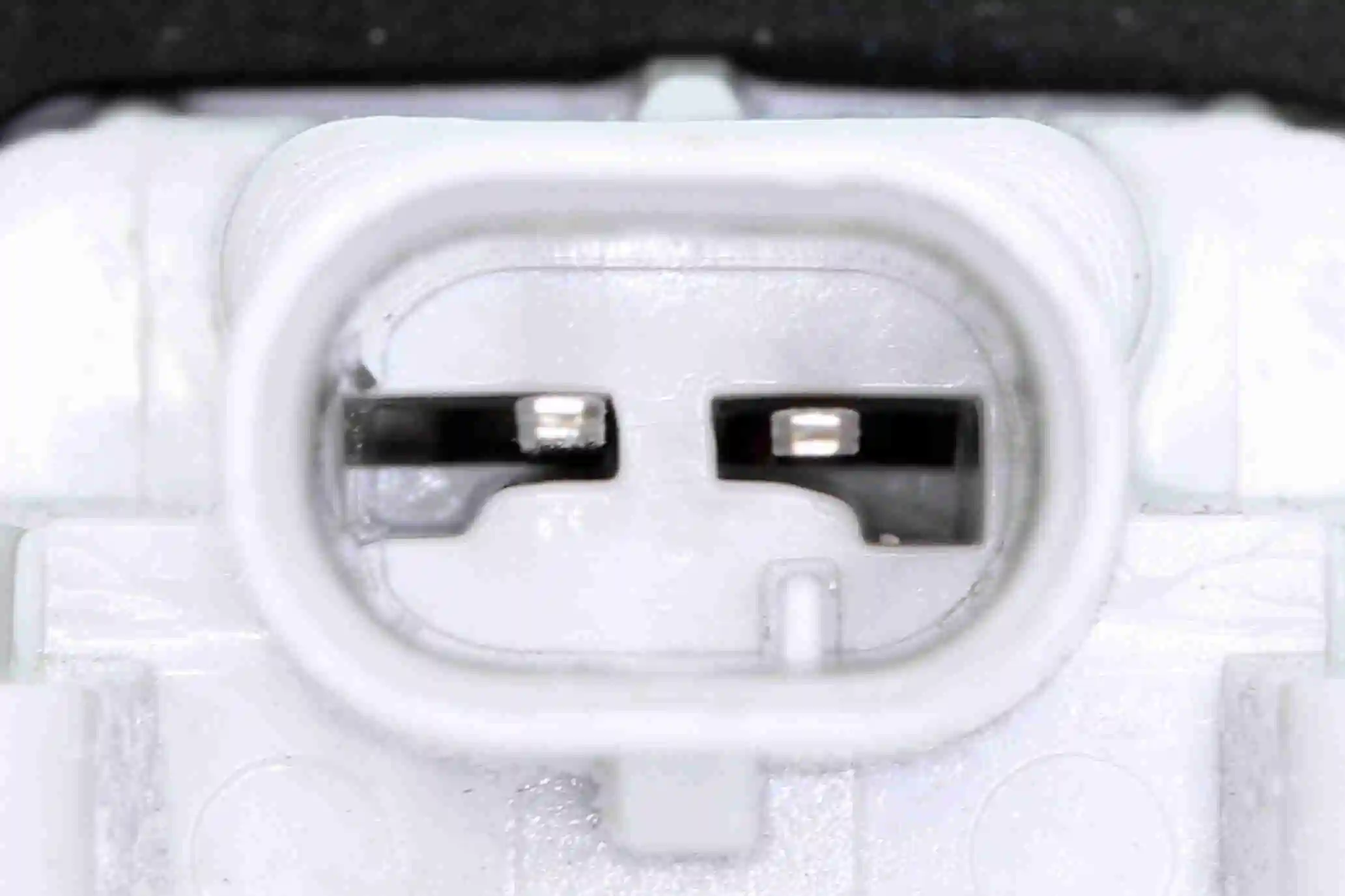 Feu éclaireur de plaque VEMO V30-84-0020