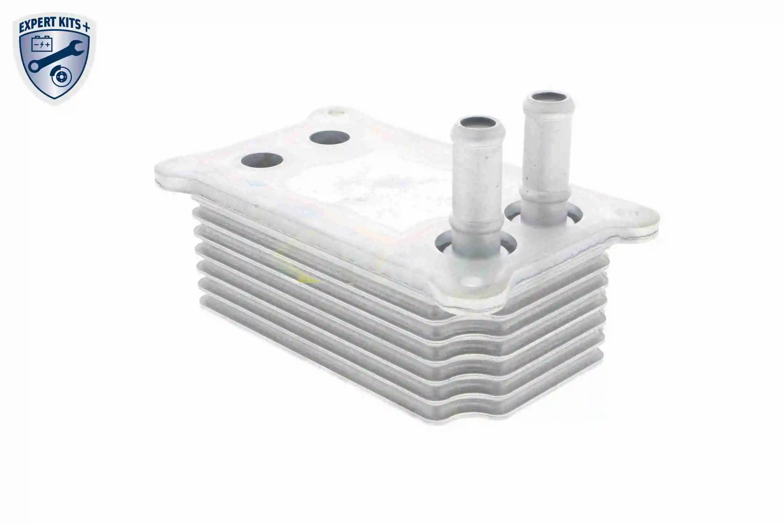 Radiateur d'huile VEMO V25-60-0031