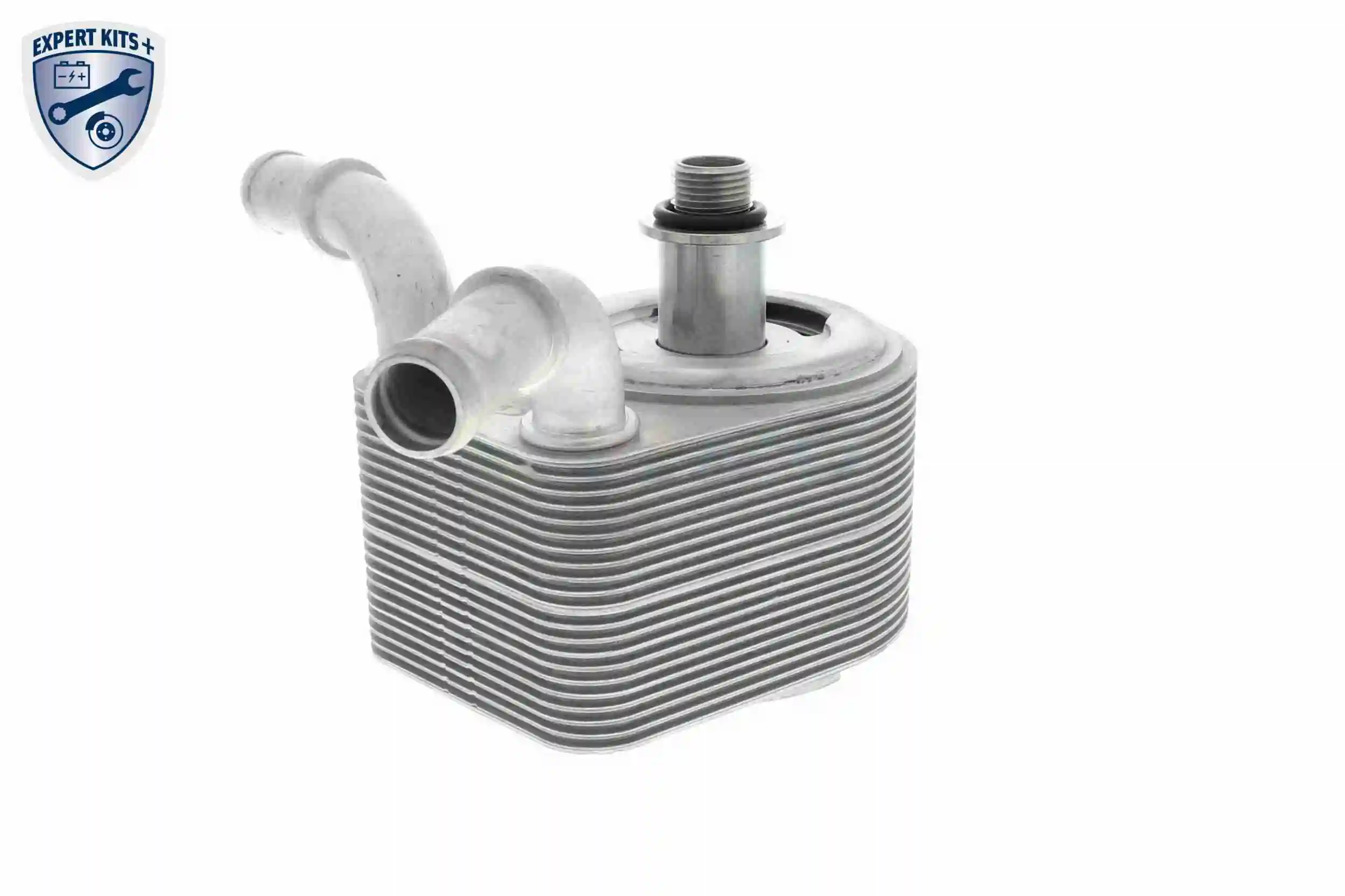 Radiateur d'huile VEMO V25-60-0049