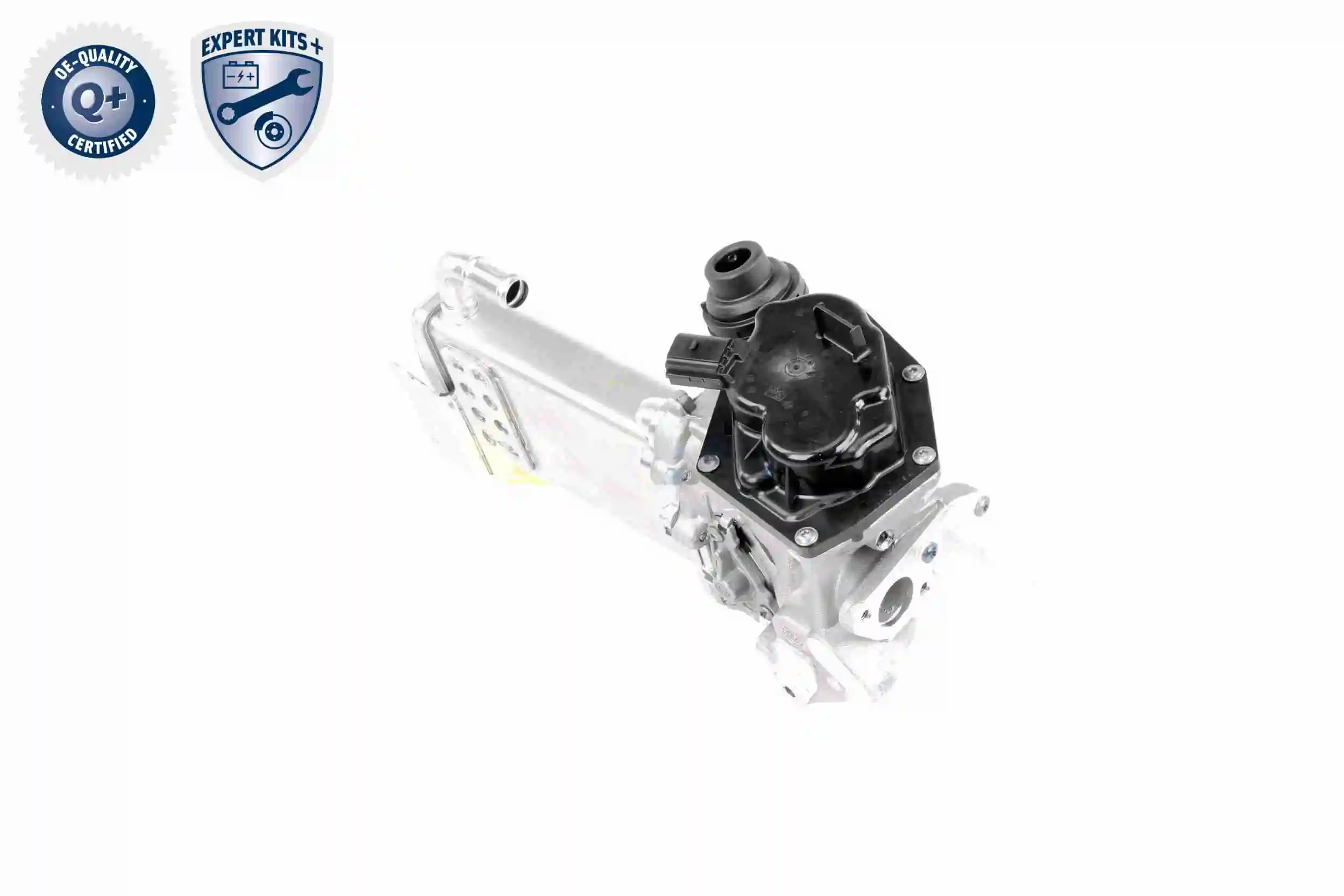 Module-EGR VEMO V10-63-0050