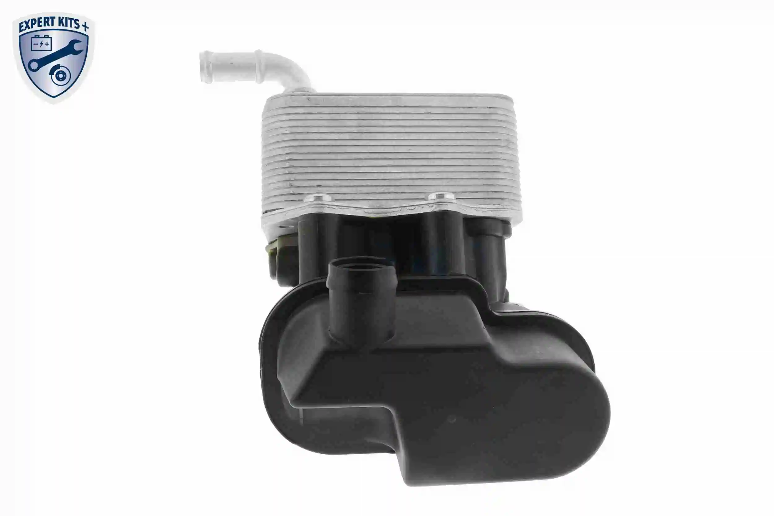 Module de filtre à huile VEMO V15-60-6080