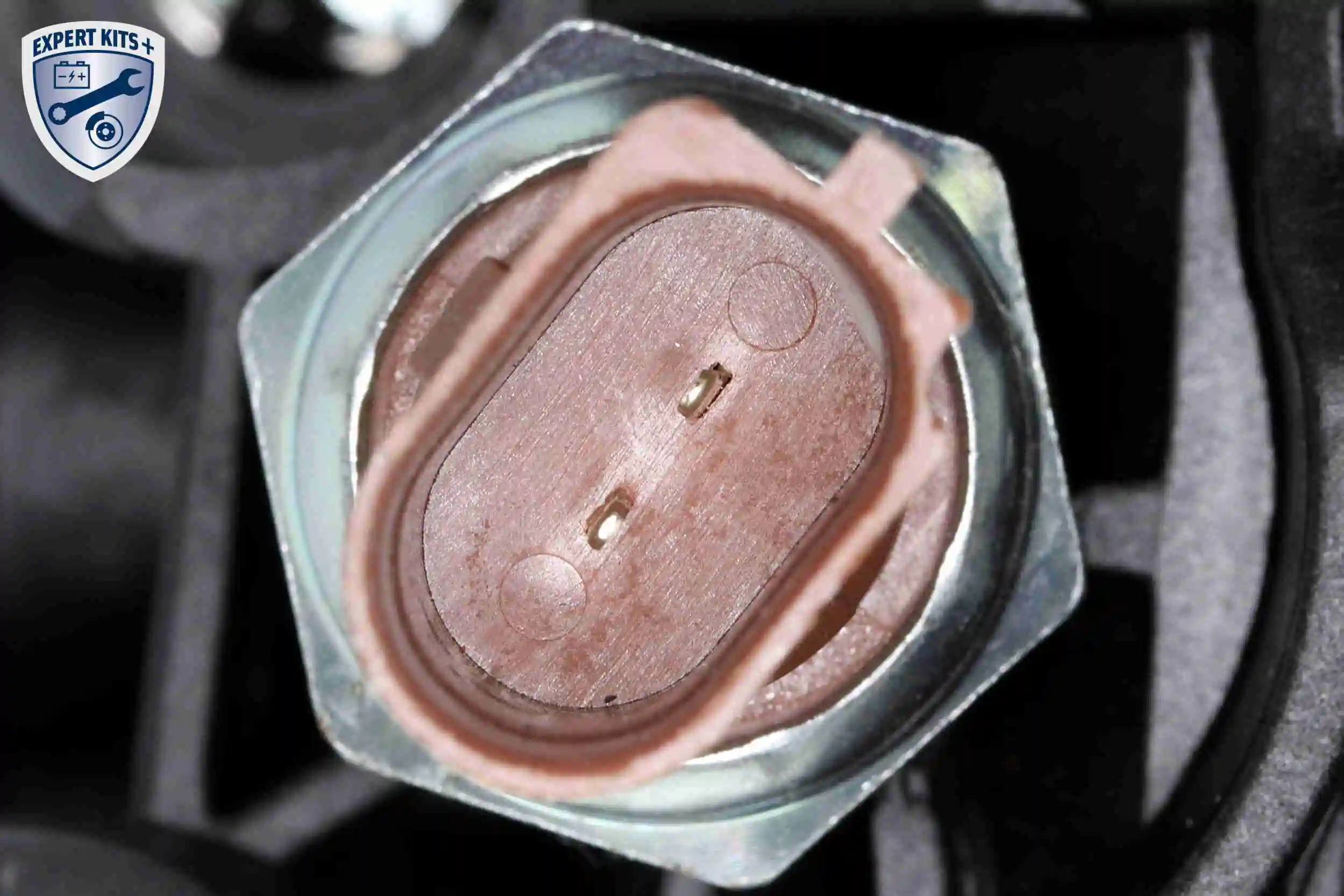 Module de filtre à huile VEMO V15-60-6064