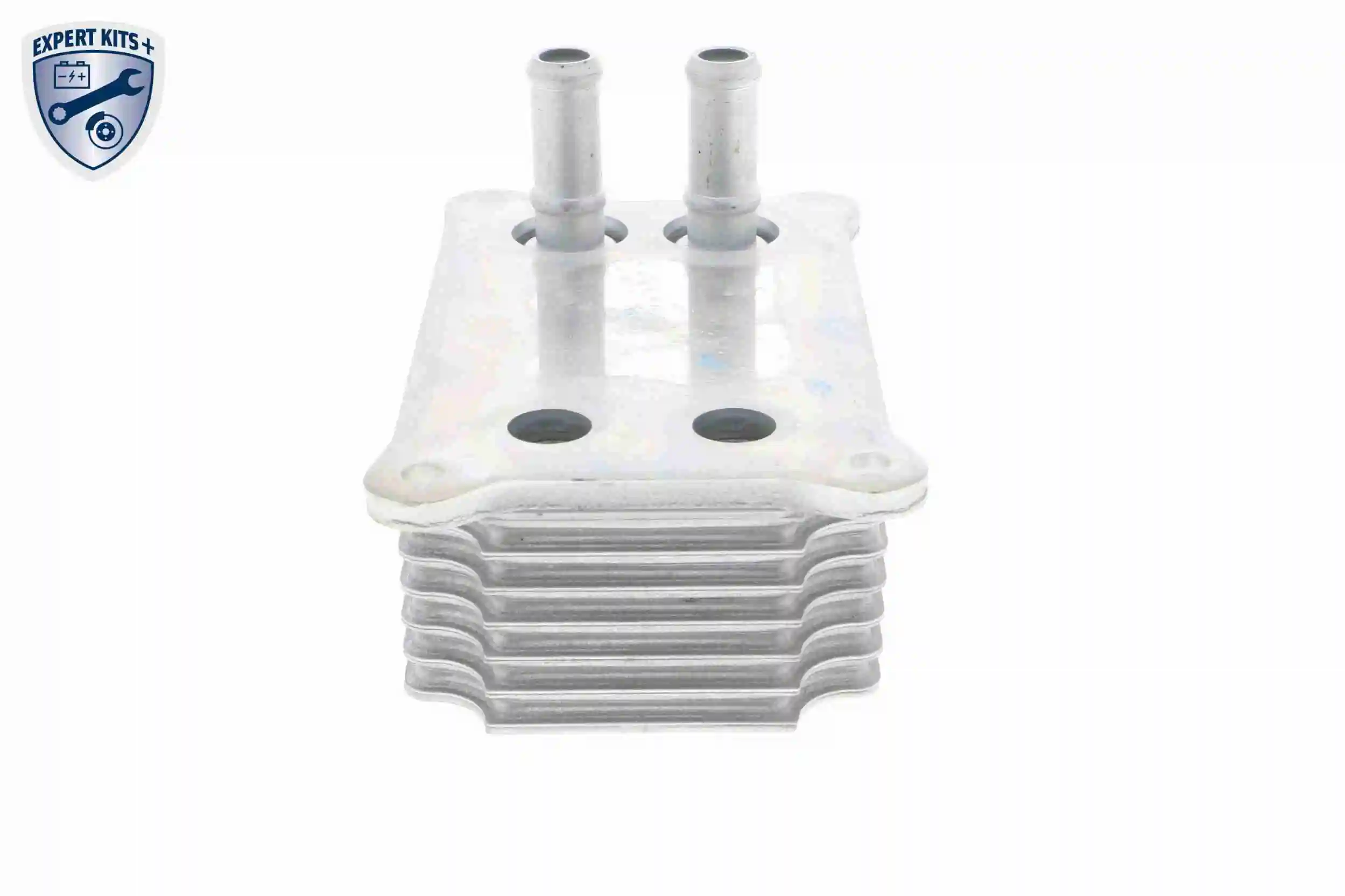 Radiateur d'huile VEMO V25-60-0031