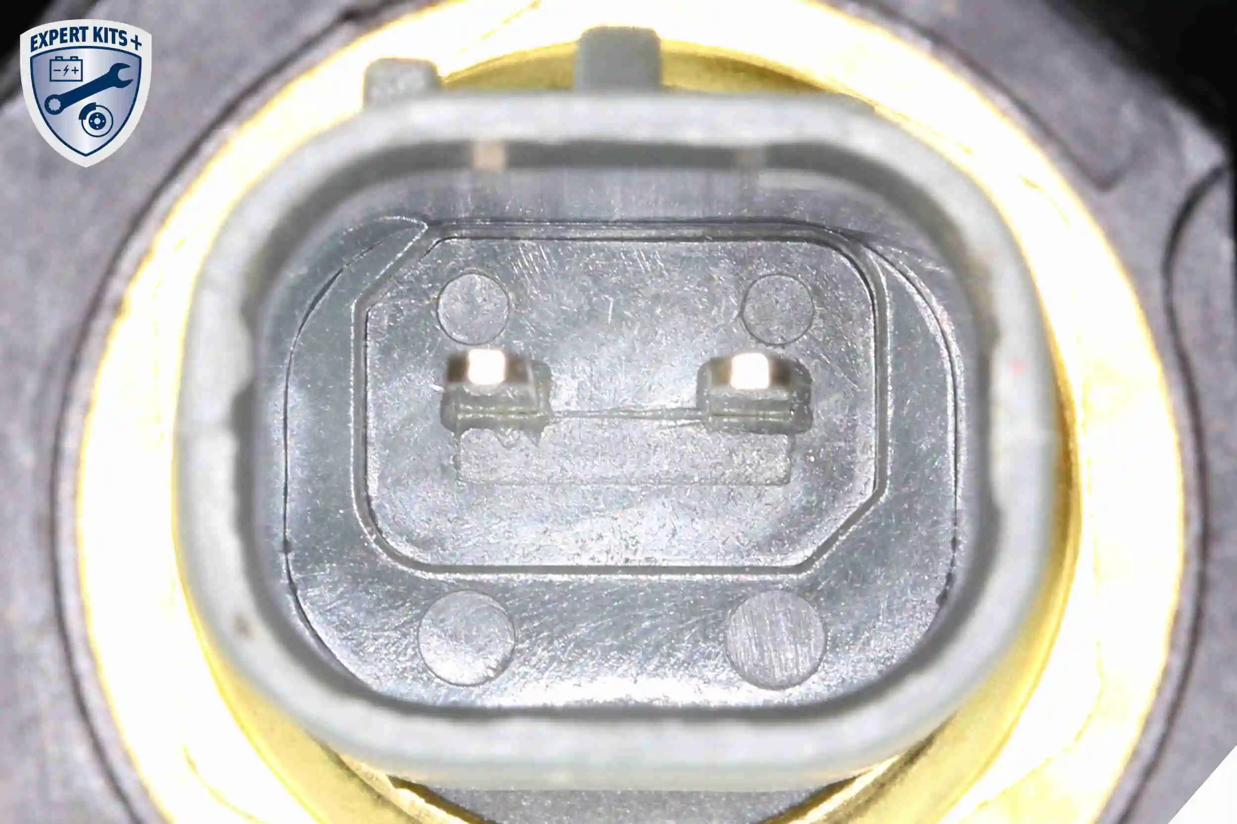 Module de filtre à huile VEMO V33-60-0016