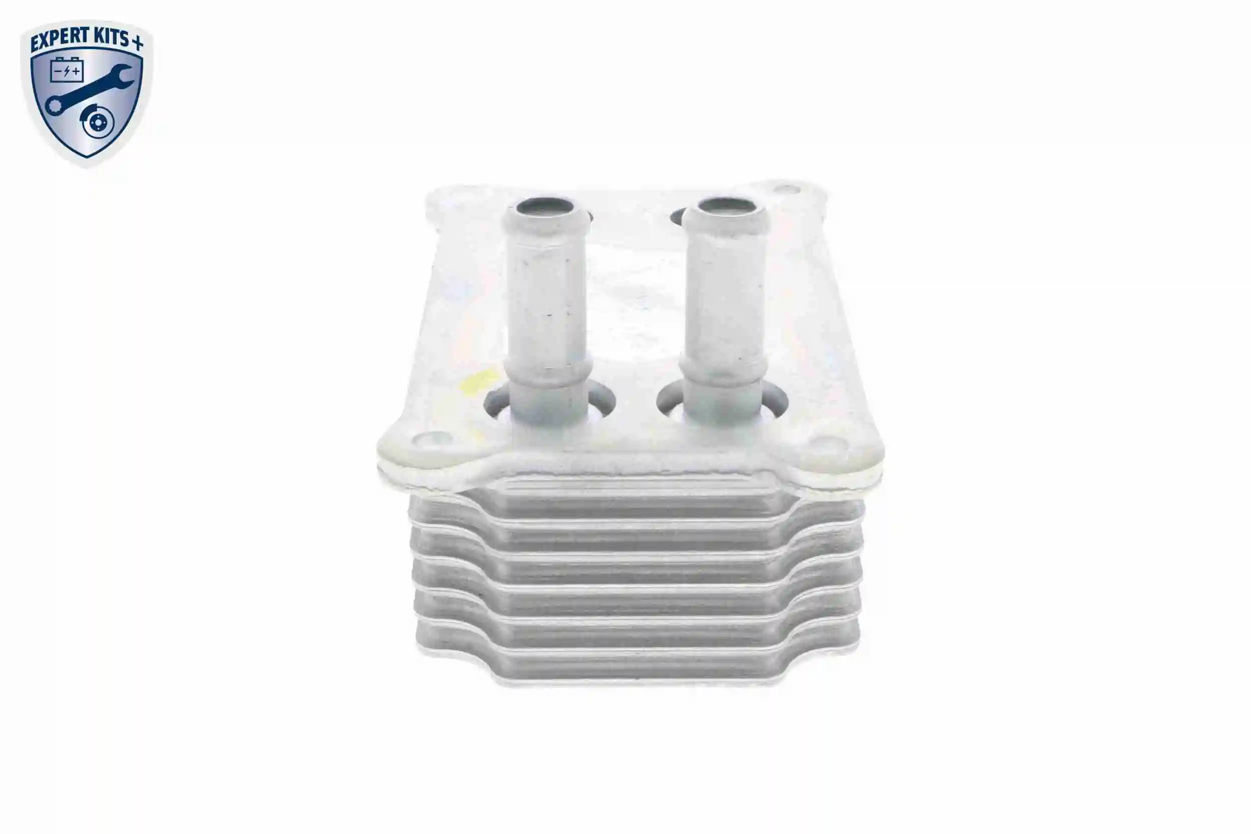 Radiateur d'huile VEMO V25-60-0031