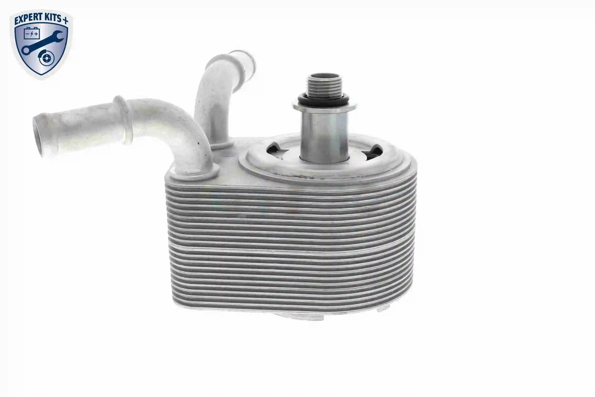 Radiateur d'huile VEMO V25-60-0049