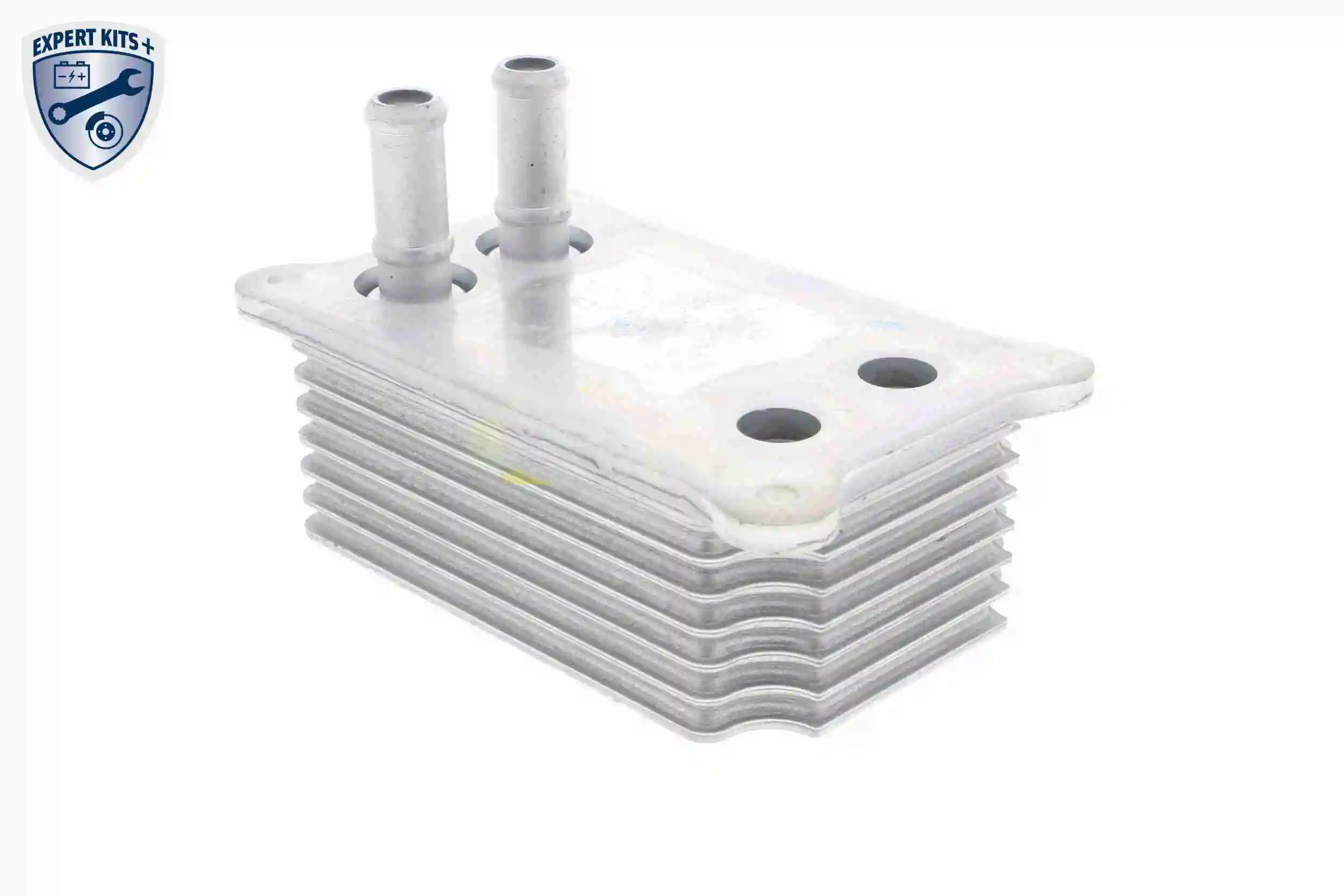 Radiateur d'huile VEMO V25-60-0031