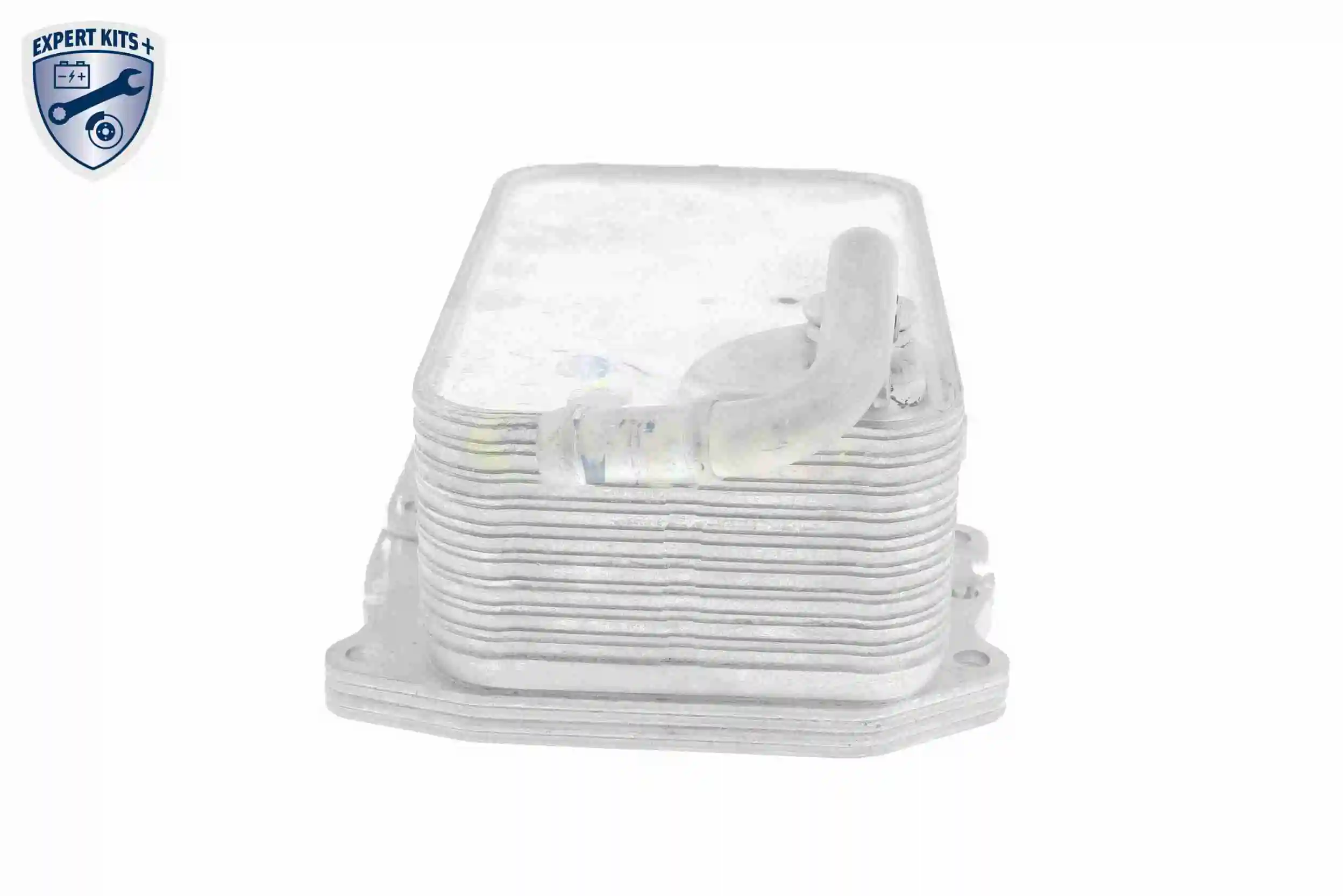 Radiateur d'huile VEMO V15-60-6075