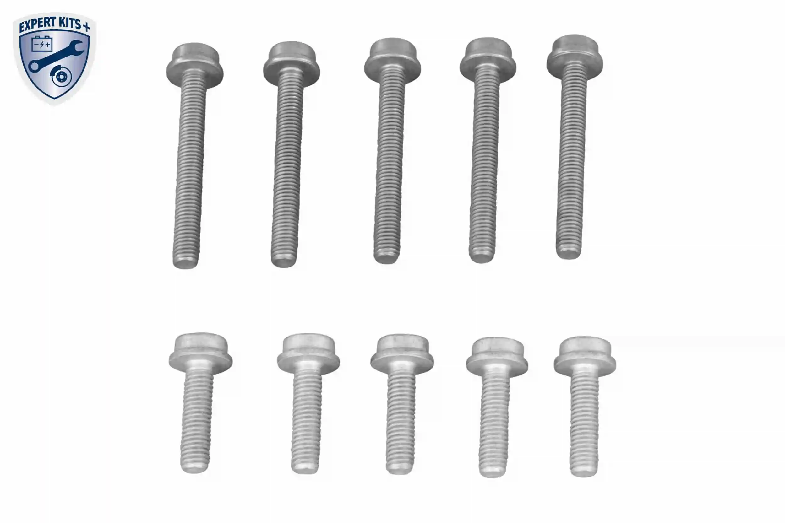 Intercooler, échangeur VEMO V10-60-0077