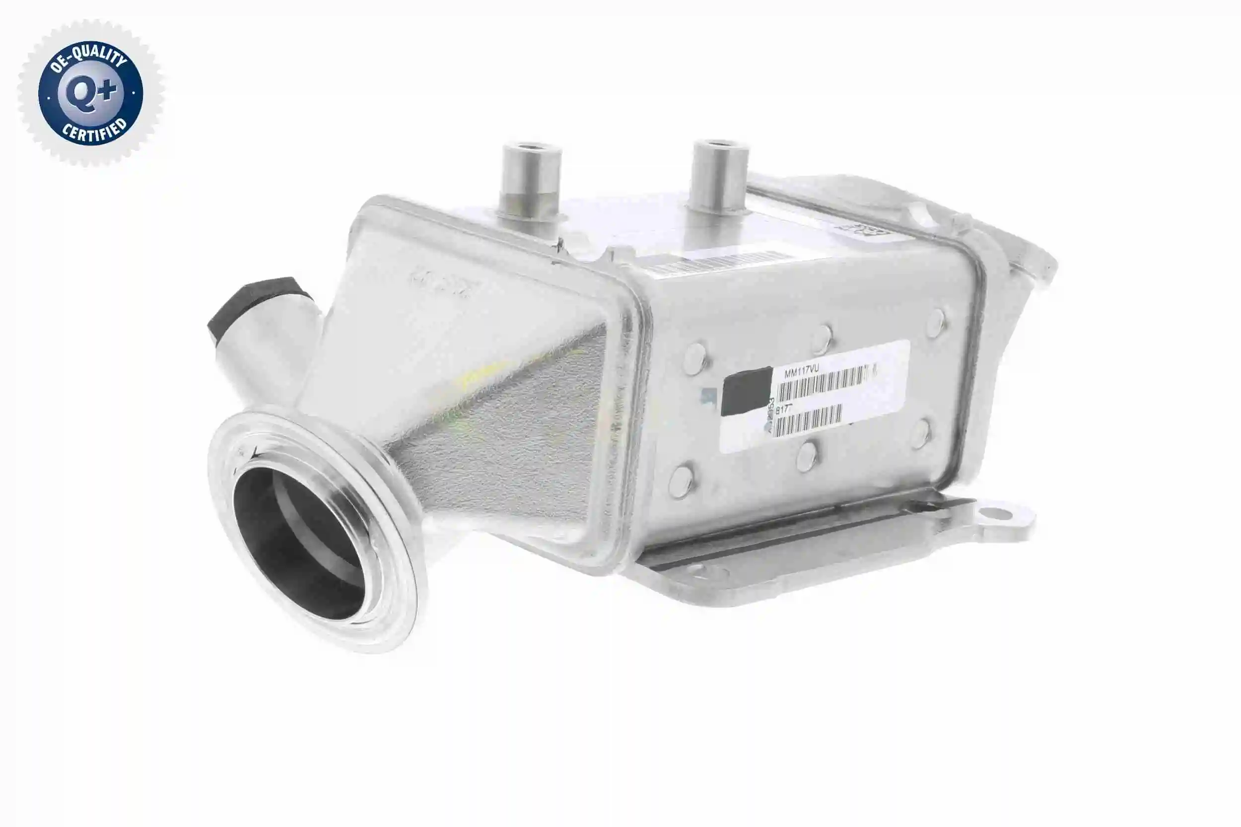 Radiateur, réaspiration des gaz d'échappement VEMO V24-63-0022