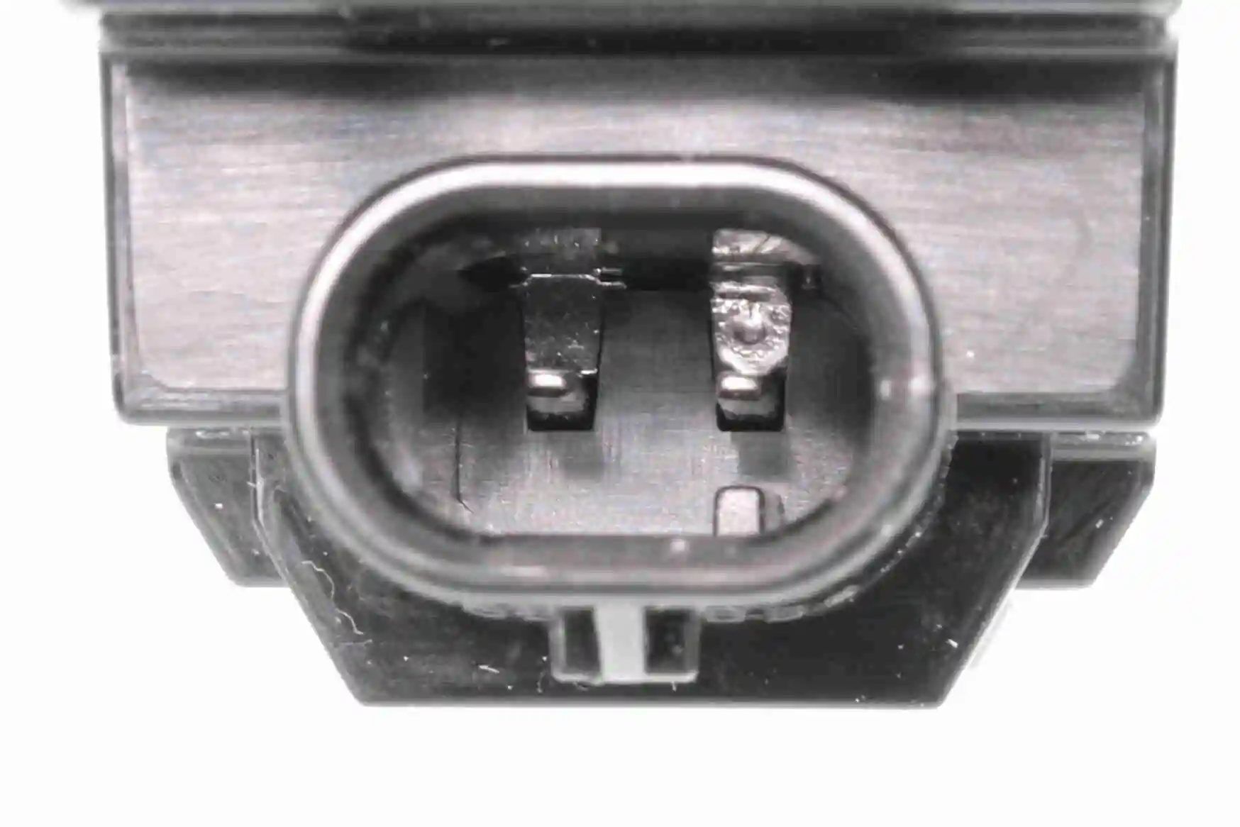 Feu éclaireur de plaque VEMO V25-84-0003