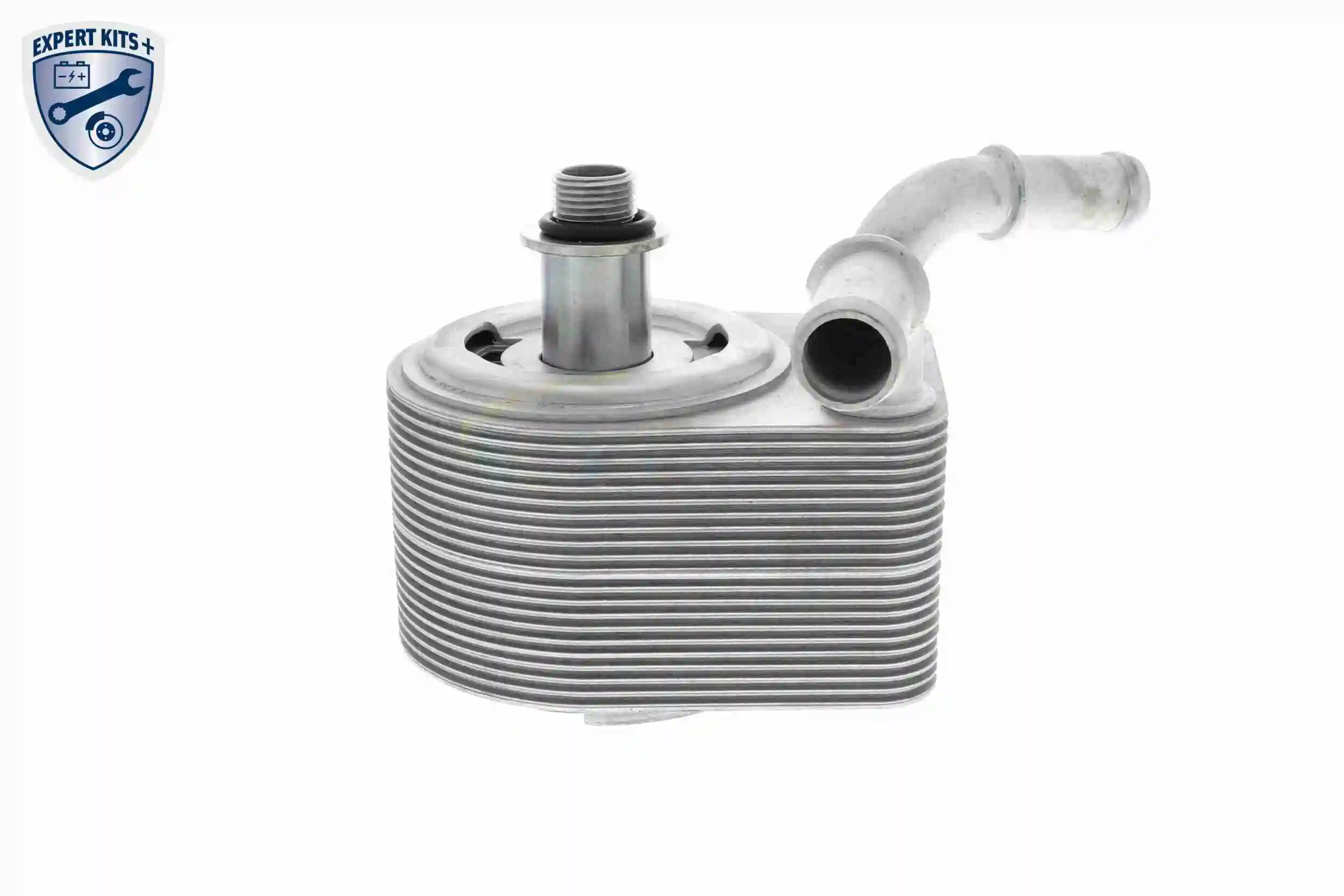 Radiateur d'huile VEMO V25-60-0049