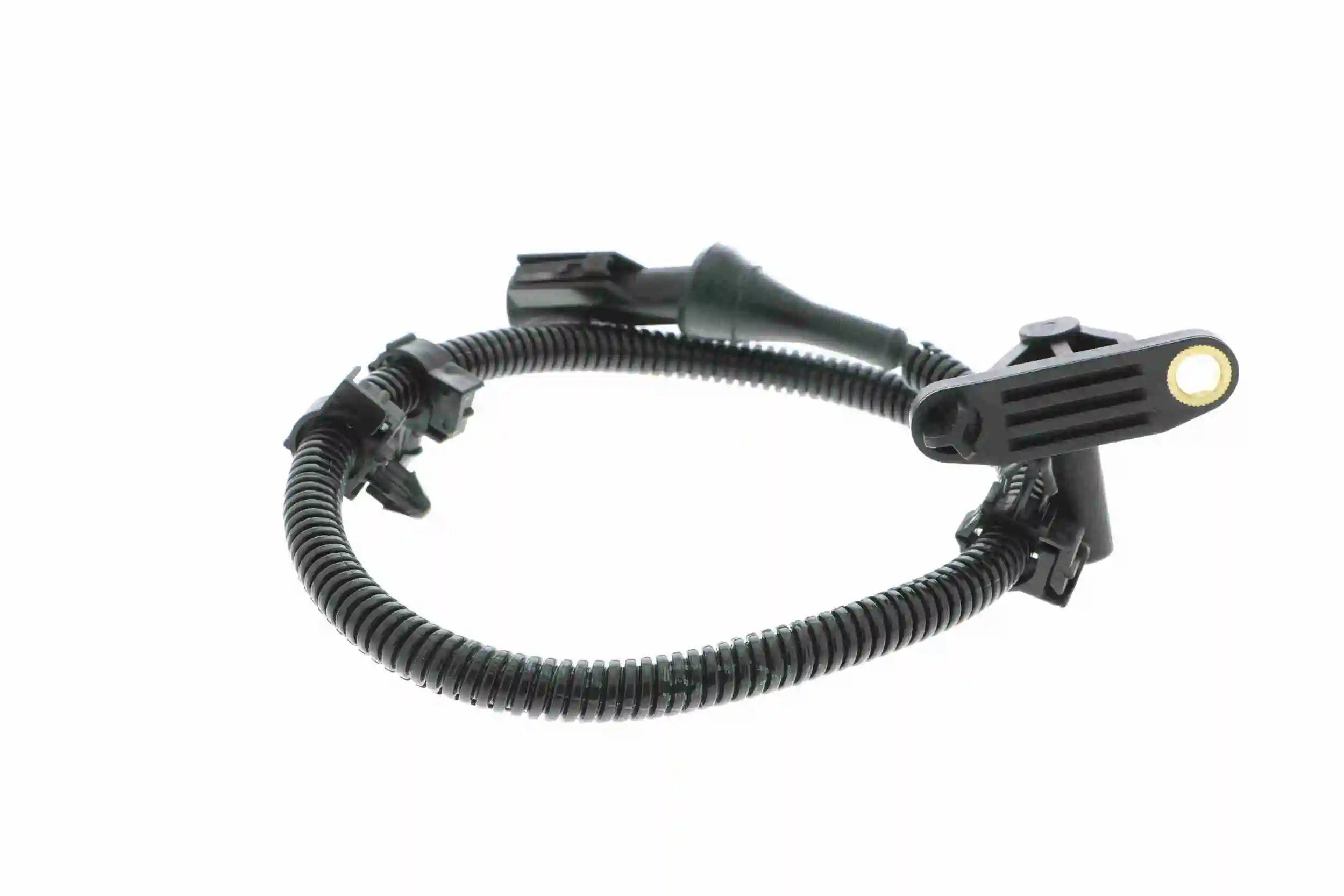 Capteur, vitesse de roue VEMO V25-72-1111