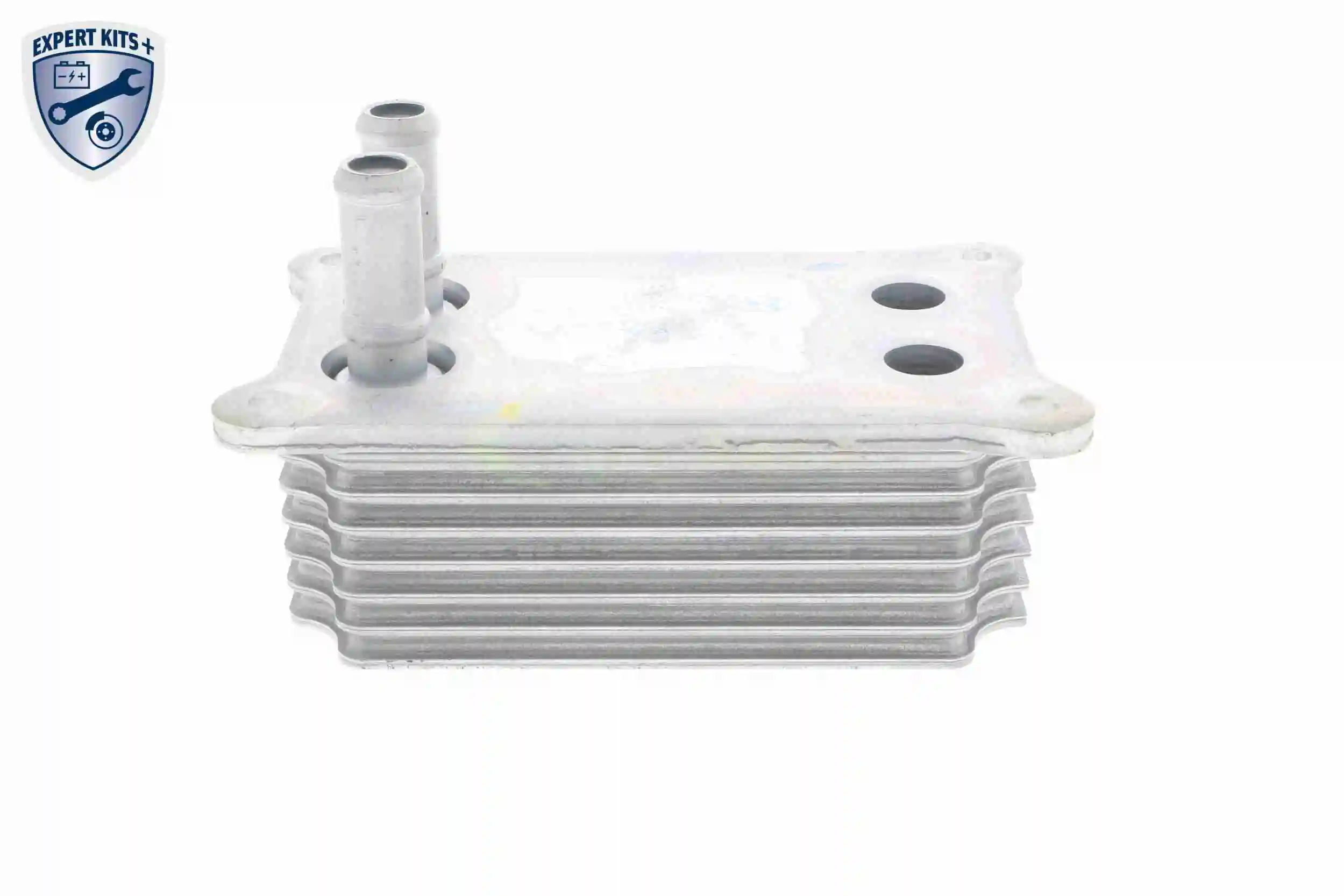 Radiateur d'huile VEMO V25-60-0031