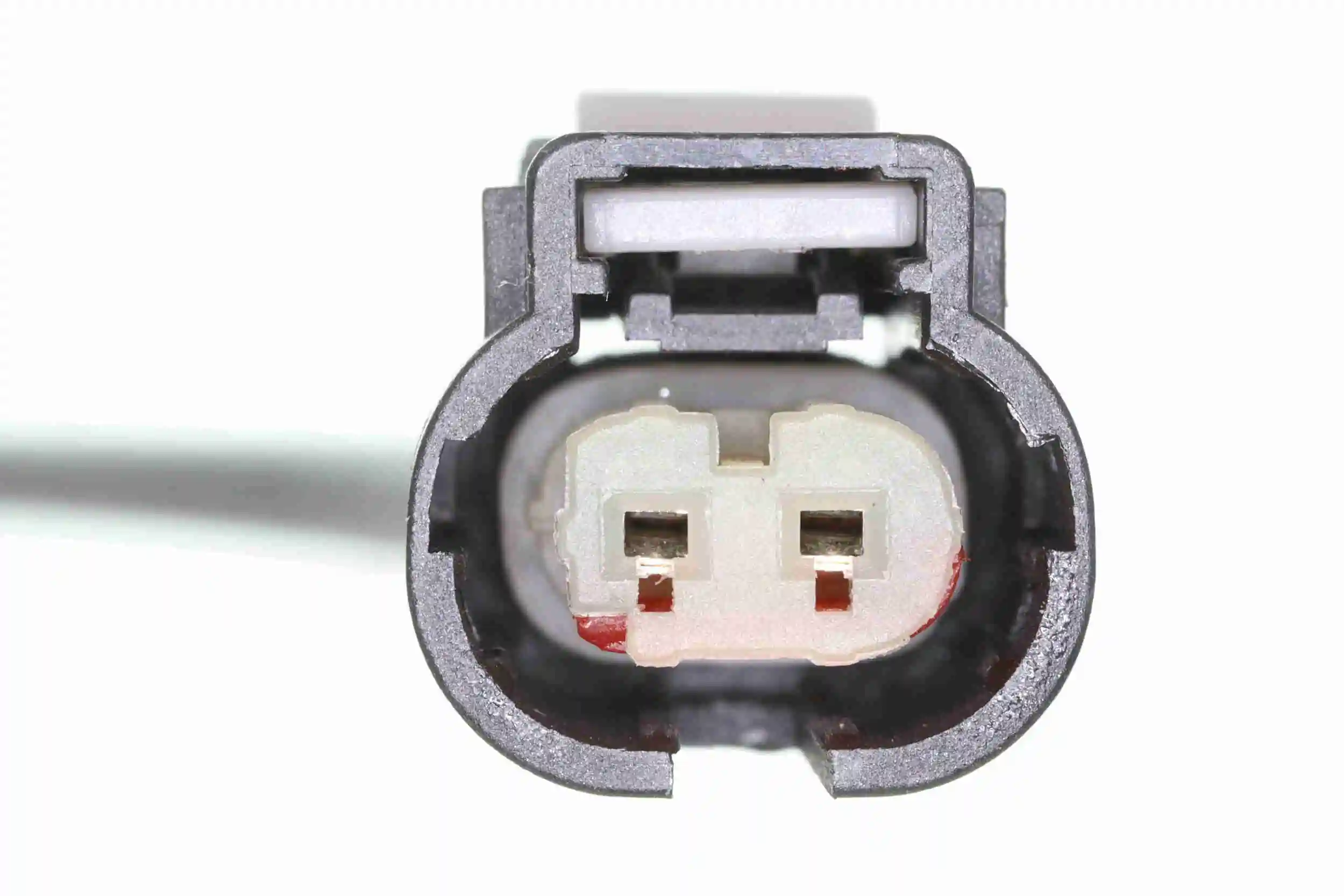 f5b9820dbc70cc2609a8a797188432239c6ca519.webp — 3