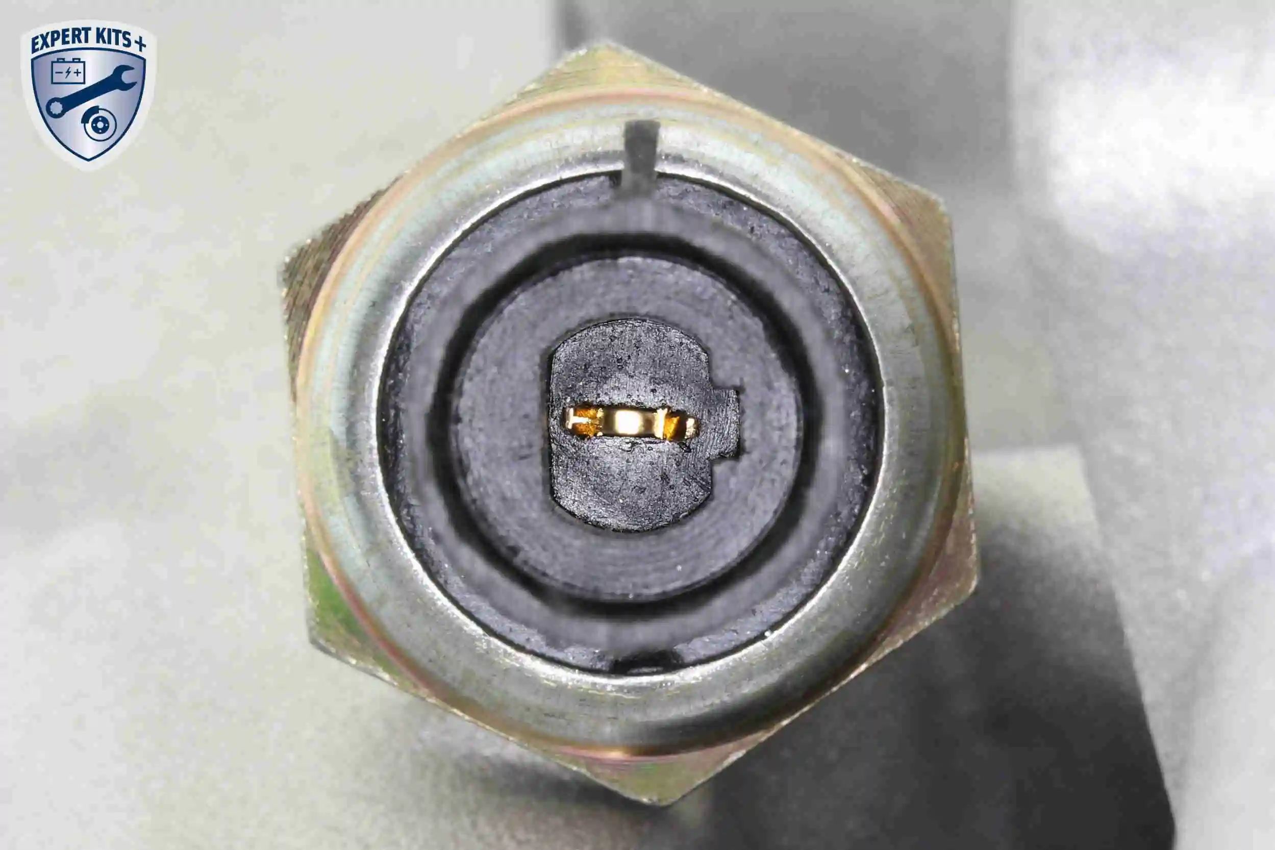 Radiateur d'huile VEMO V24-60-0019