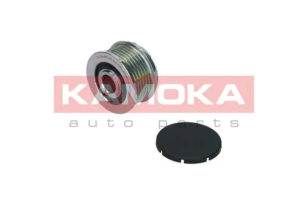 Alternator Freewheel Clutch