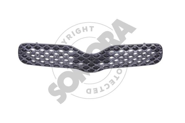 Radiator Grille