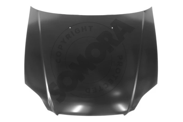 Bonnet