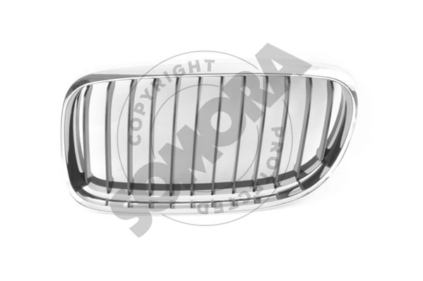 Radiator Grille