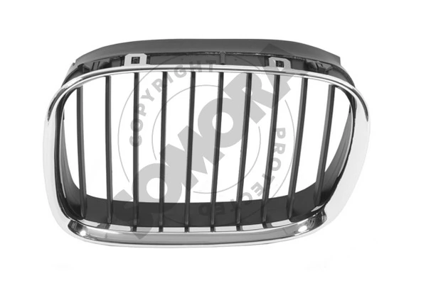 Radiator Grille