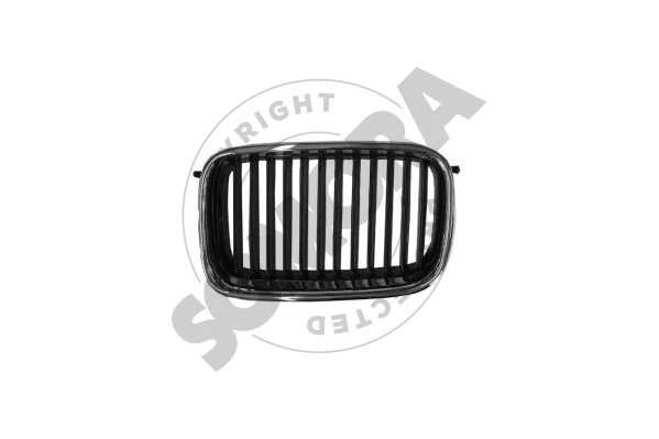 Radiator Grille