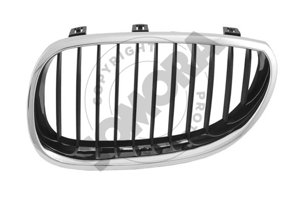 Radiator Grille