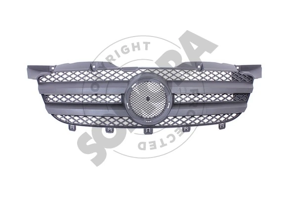 Radiator Grille