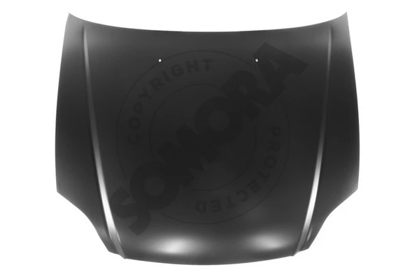 Bonnet