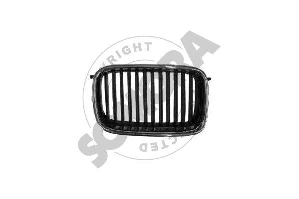 Radiator Grille
