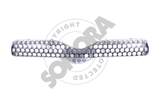 Radiator Grille