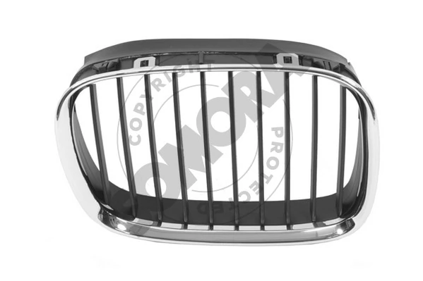 Radiator Grille