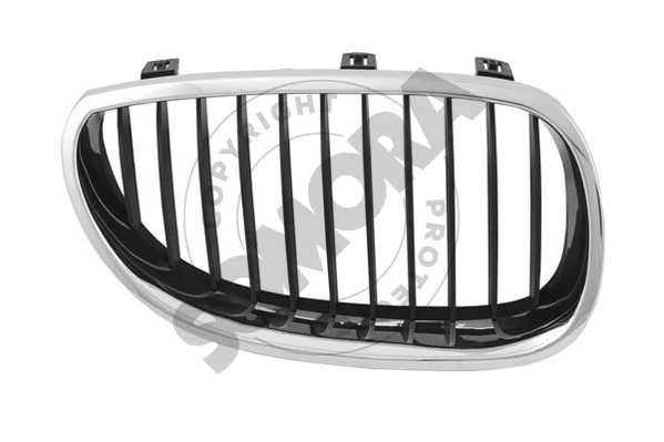 Radiator Grille