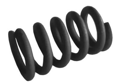 Spring, muffler