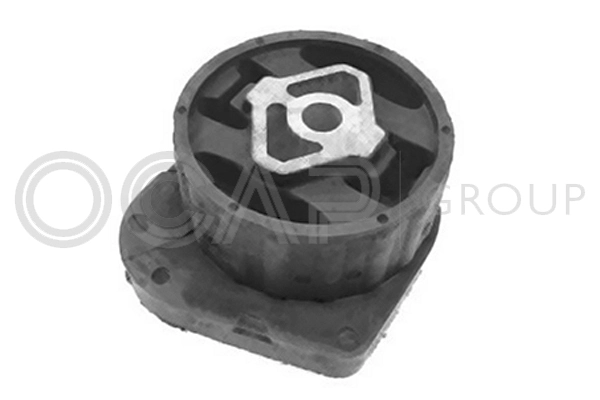 Holder, engine mounting system
