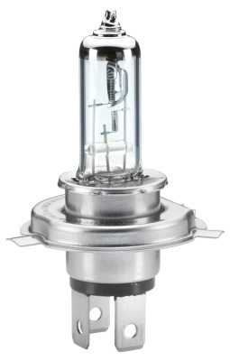 Bulb, front fog light