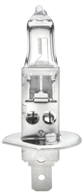 Bulb, spotlight
