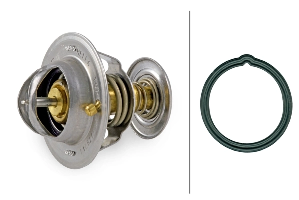 Thermostat, coolant