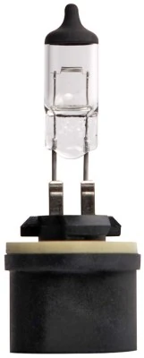 Bulb, front fog light