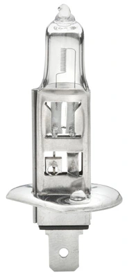 Bulb, spotlight