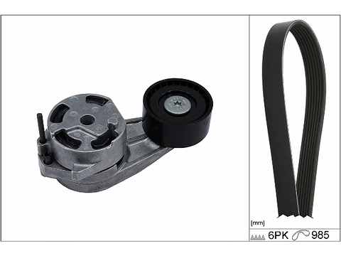 SCHAEFFLER INA 529 0482 10 — Роликовий модуль натягувача ременя (ролик, ремінь)