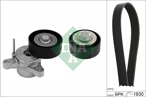 SCHAEFFLER INA 529 0448 10 — Роликовий модуль натягувача ременя (ролик, ремінь)