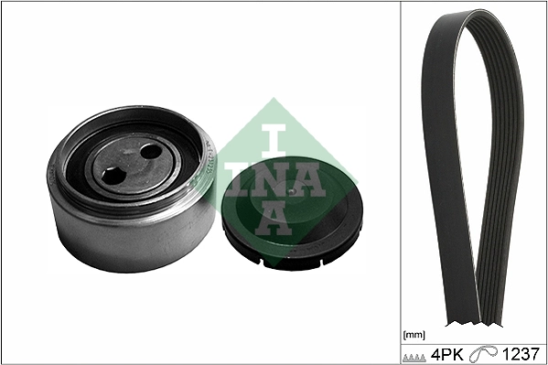 SCHAEFFLER INA 529 0087 10 — Роликовий модуль натягувача ременя (ролик, ремінь)