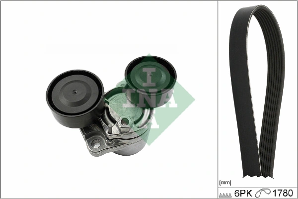 SCHAEFFLER INA 529 0510 10 — Роликовий модуль натягувача ременя (ролик, ремінь)