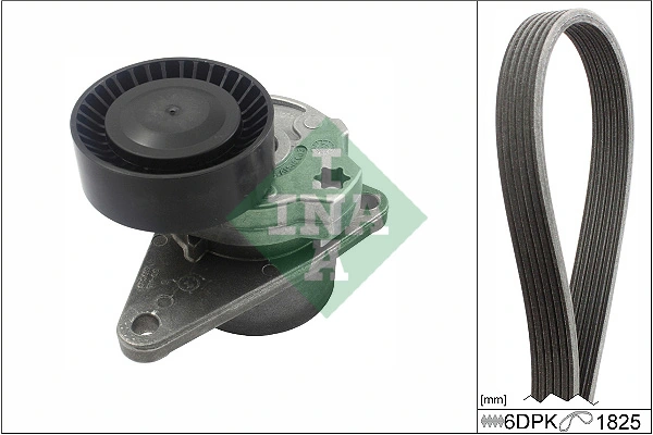 SCHAEFFLER INA 529 0557 10 — Роликовий модуль натягувача ременя (ролик, ремінь)