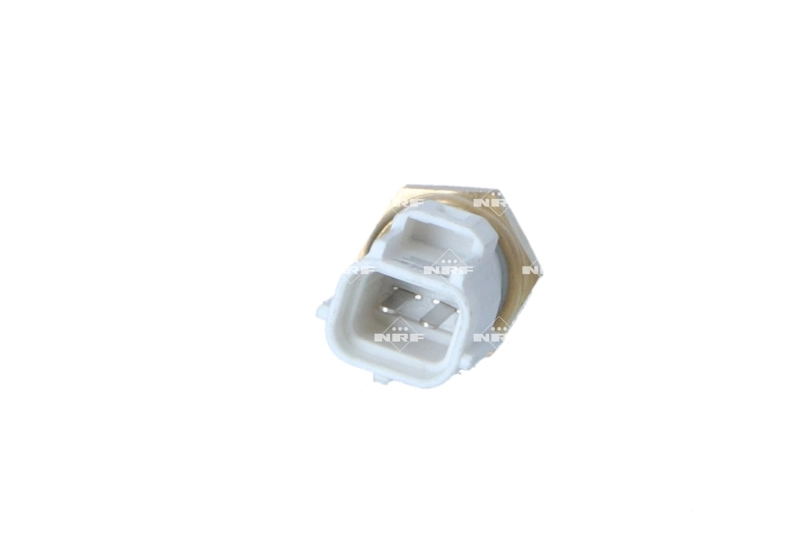 1cb304a5c1e179207b4f42024ca2efaa5df48f67.webp — 3