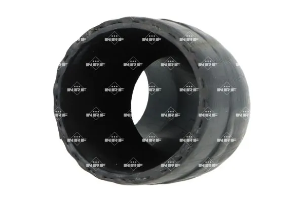 Gaine de suralimentation NRF 166310