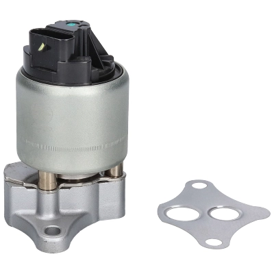 Vanne EGR BIRTH 90009