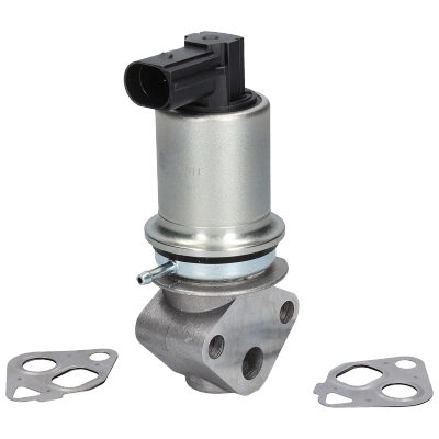 Vanne EGR BIRTH 90011